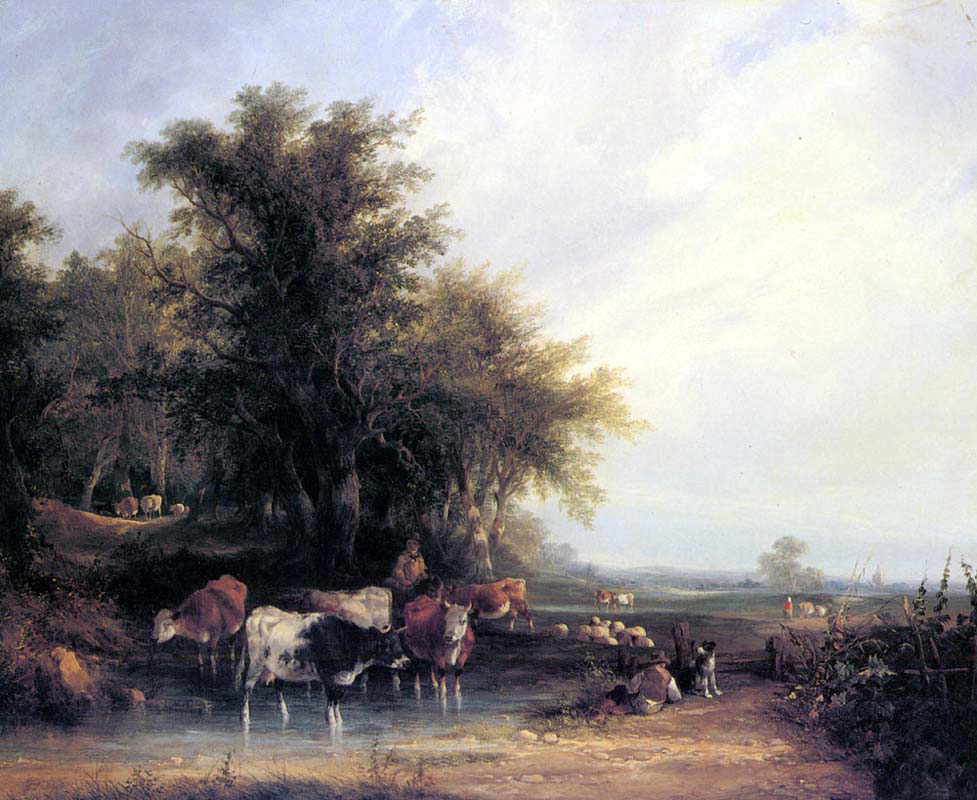 near the new forest 